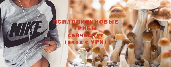 герыч Алексин