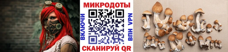 Псилоцибиновые грибы Cubensis  blacksprut tor  Багратионовск 